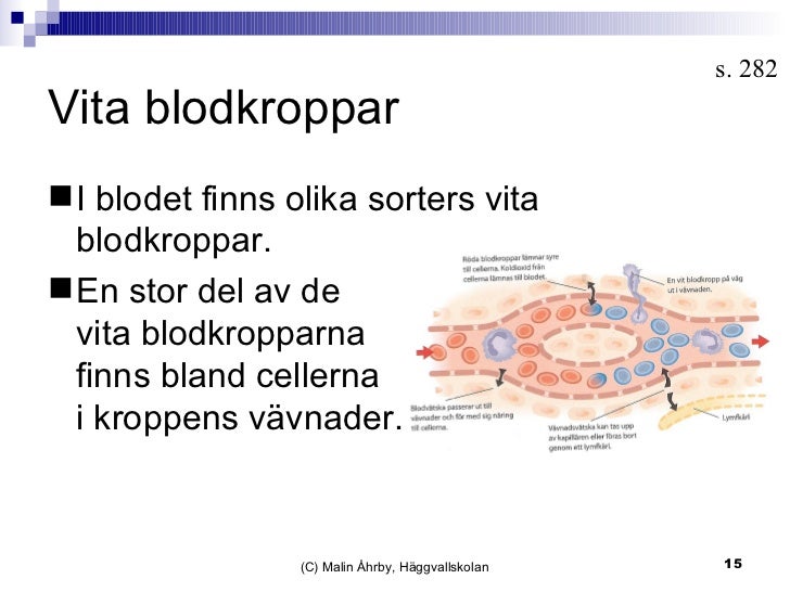 nadir vita blodkroppar